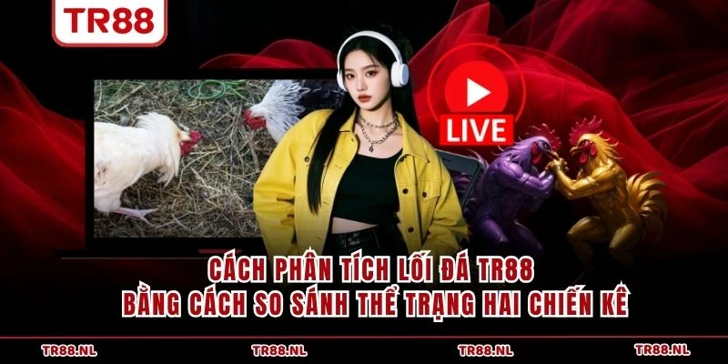Cách phân tích lối đá TR88 bằng cách so sánh thể trạng hai chiến kê
