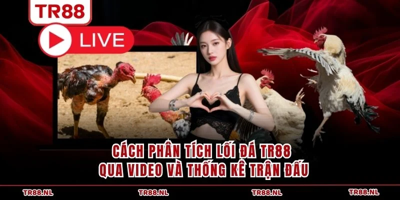 Cách phân tích lối đá TR88 qua video và thống kê trận đấu