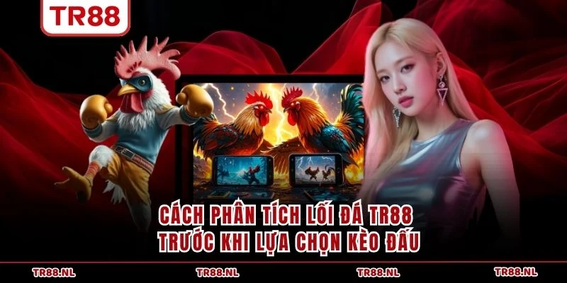 Cách phân tích lối đá TR88 trước khi lựa chọn kèo đấu