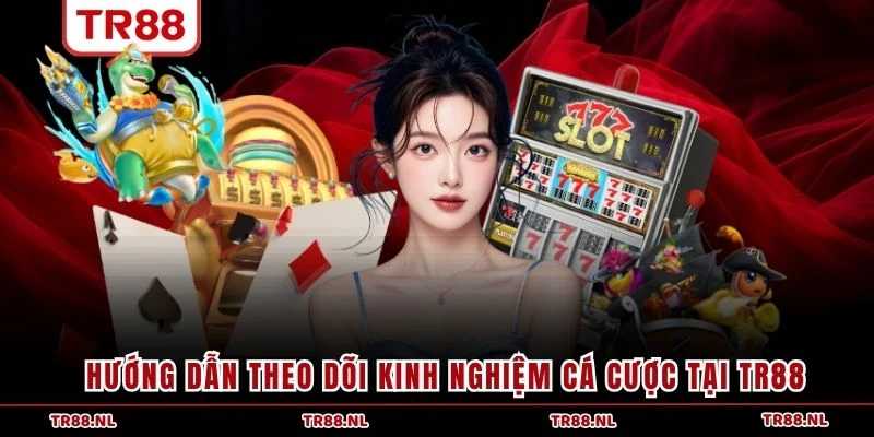 Hướng dẫn theo dõi kinh nghiệm cá cược tại TR88