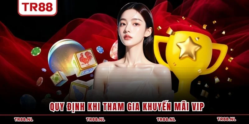 Quy định khi tham gia khuyến mãi VIP