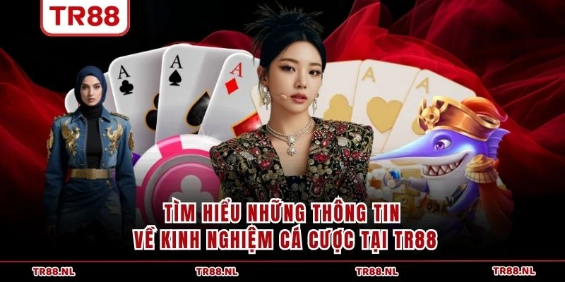 Tìm hiểu những thông tin về kinh nghiệm cá cược tại TR88