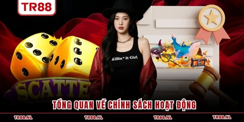 Tổng quan về chính sách hoạt động